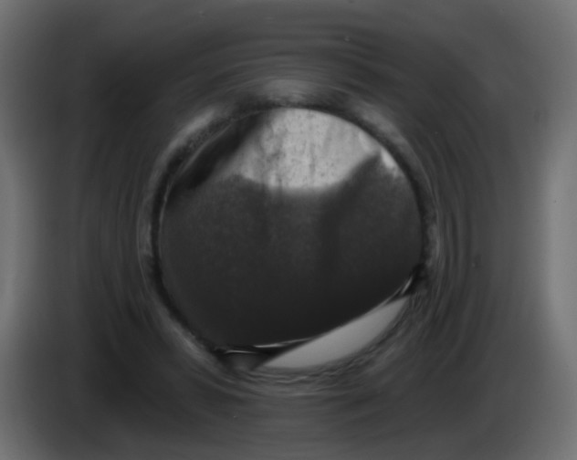X0000086050399200704132001