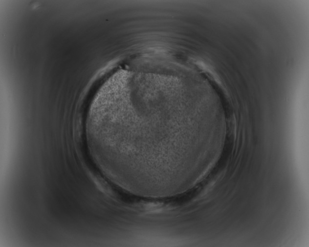 X0000086050400200704132001