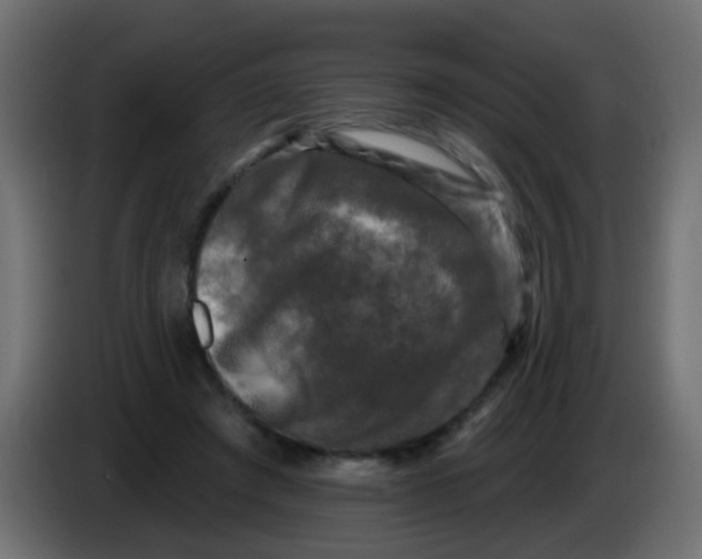 X0000086050401200704132001