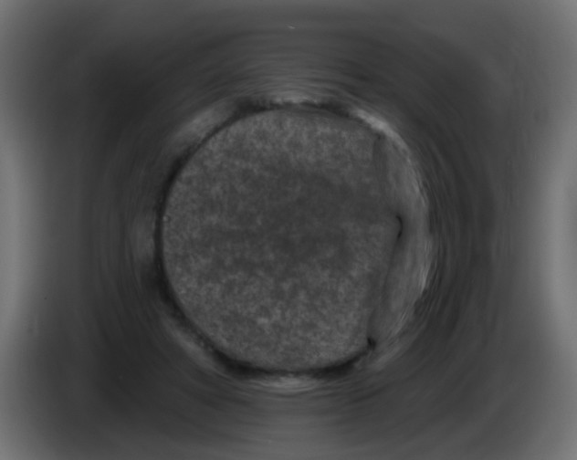 X0000086050402200704132001