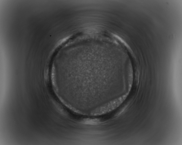 X0000086050403200704132001