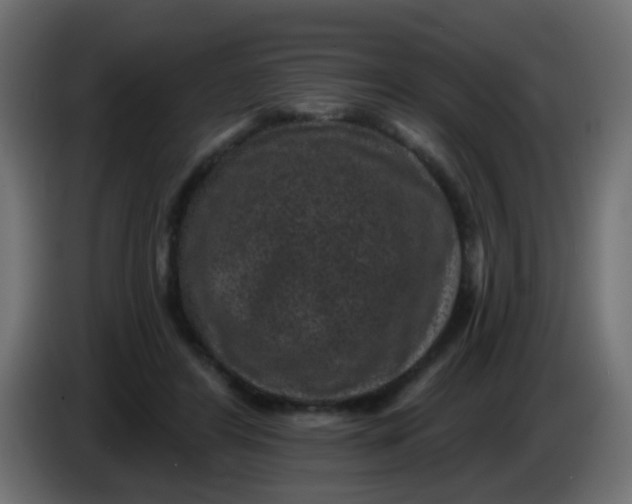 X0000086050404200704132001