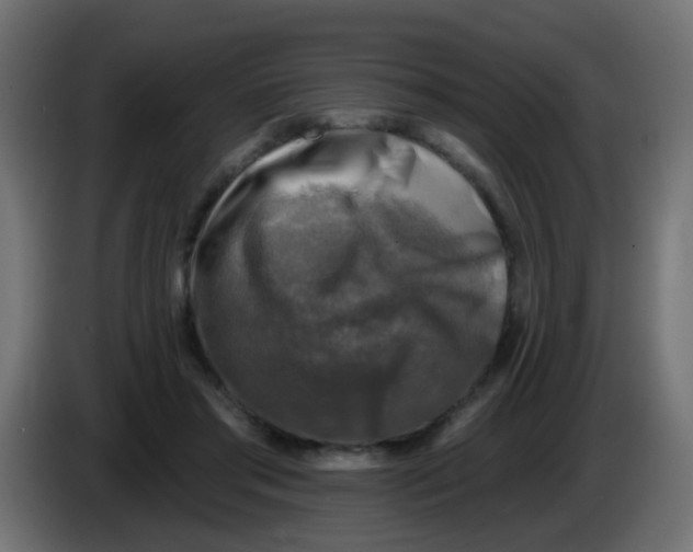 X0000086050405200704132001