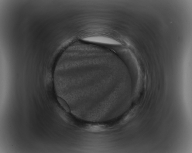 X0000086050407200704132000