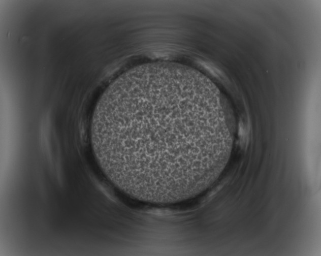 X0000086050408200704132000