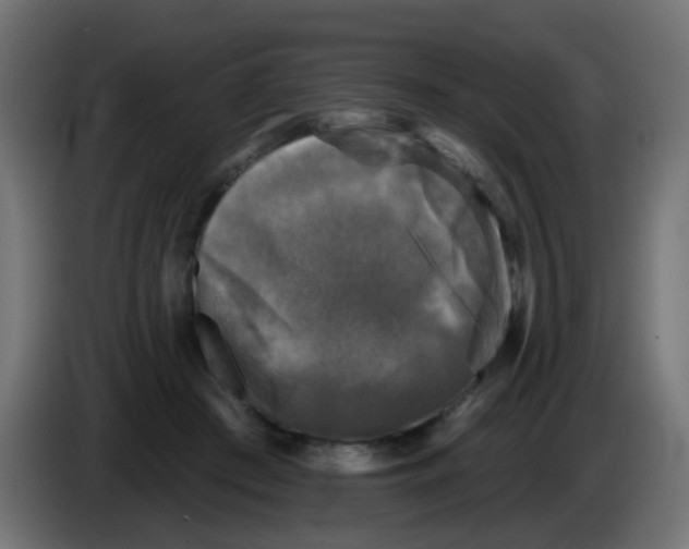 X0000086050409200704132000