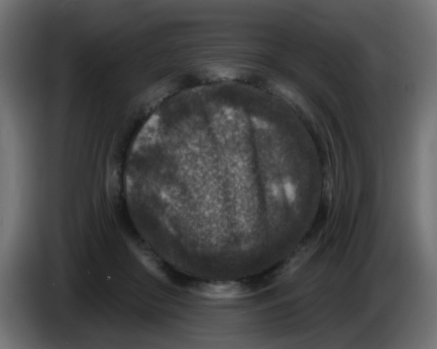 X0000086050410200704132000