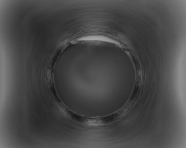 X0000086050415200704132000