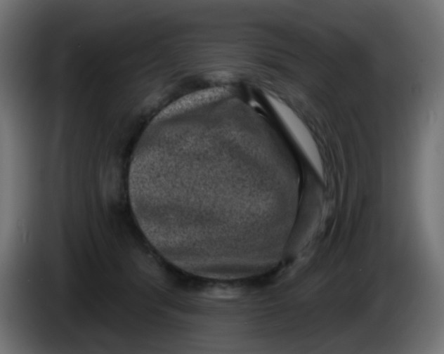 X0000086050416200704132000