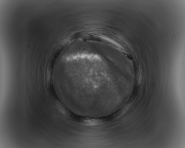 X0000086050417200704132000