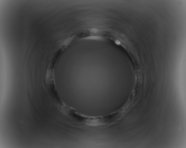 X0000086050419200704132000