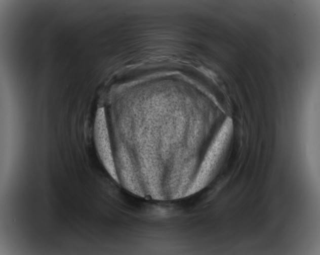 X0000086050420200704132000