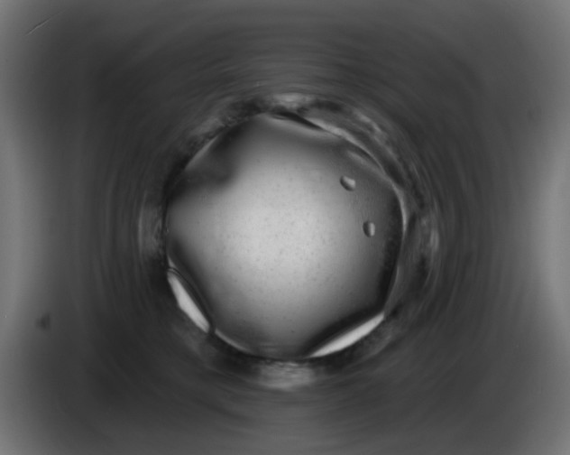 X0000086050421200704132000