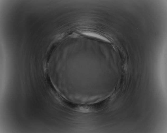 X0000086050423200704132000