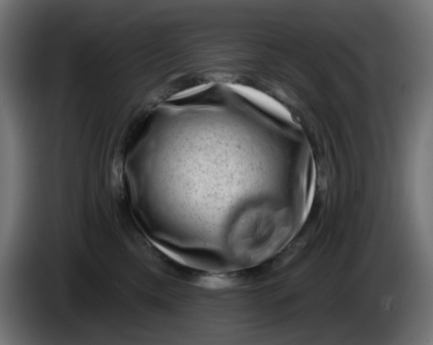 X0000086050425200704132000