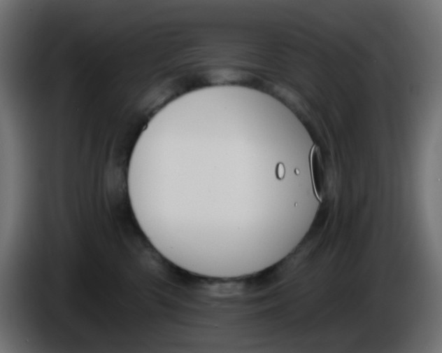 X0000086050426200704132000