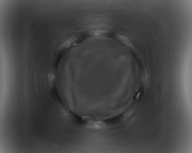 X0000086050427200704132000