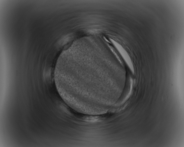 X0000086050428200704132000