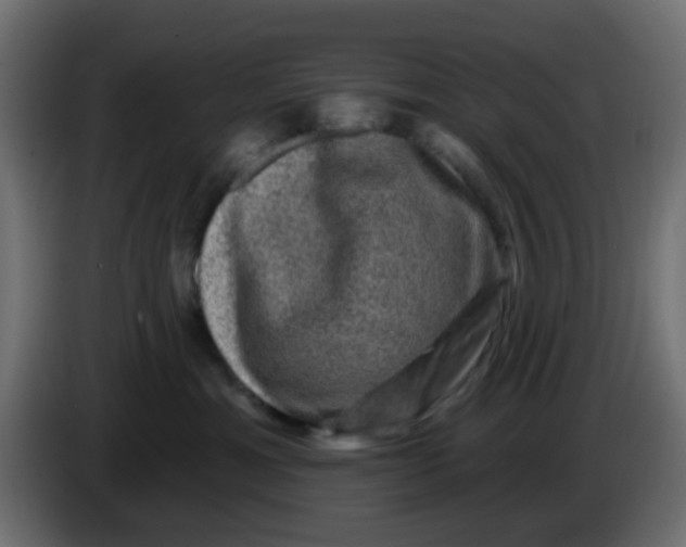 X0000086050429200704132000