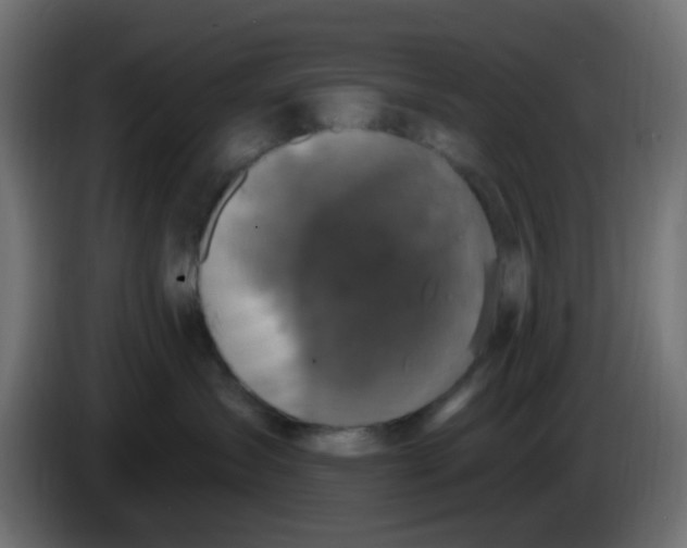 X0000086050431200704132000