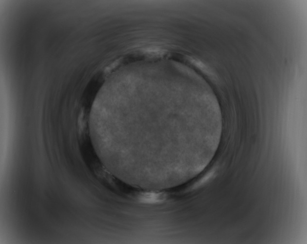 X0000086050432200704132000
