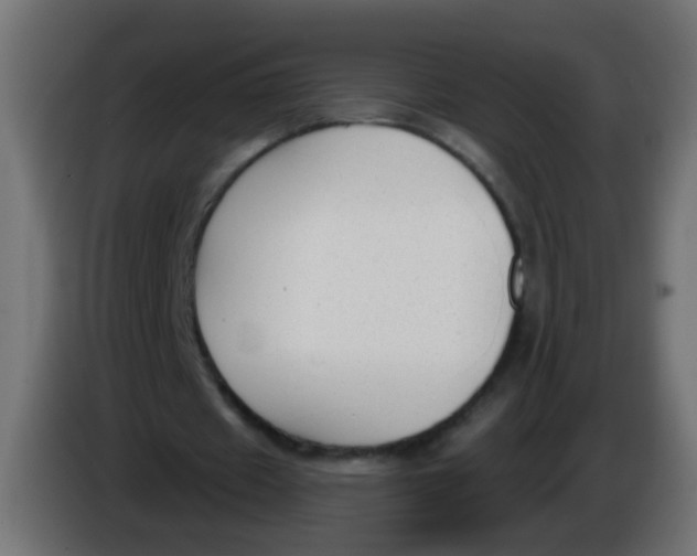 X0000086050433200704131959