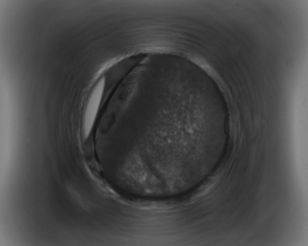 X0000086050434200704131959