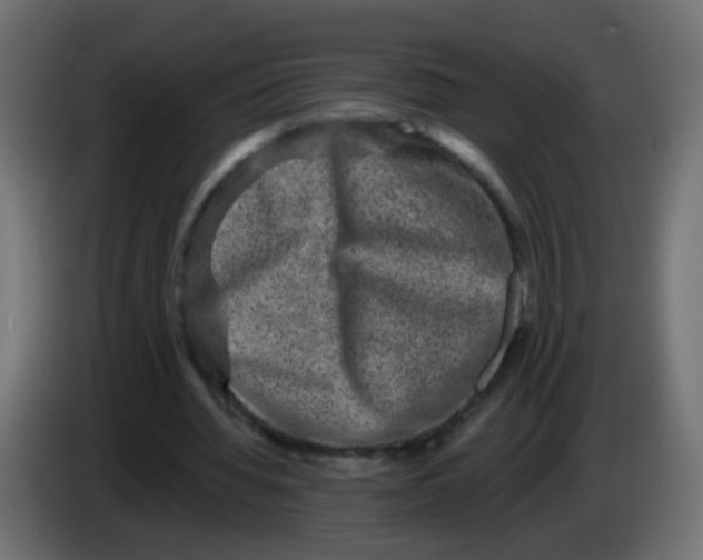 X0000086050436200704131959