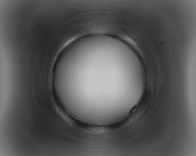 X0000086050439200704132000