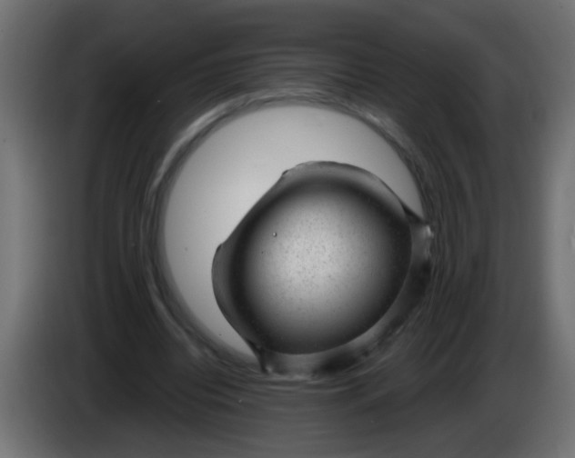X0000086050440200704132000