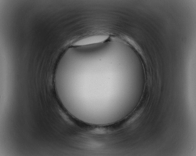 X0000086050441200704132000