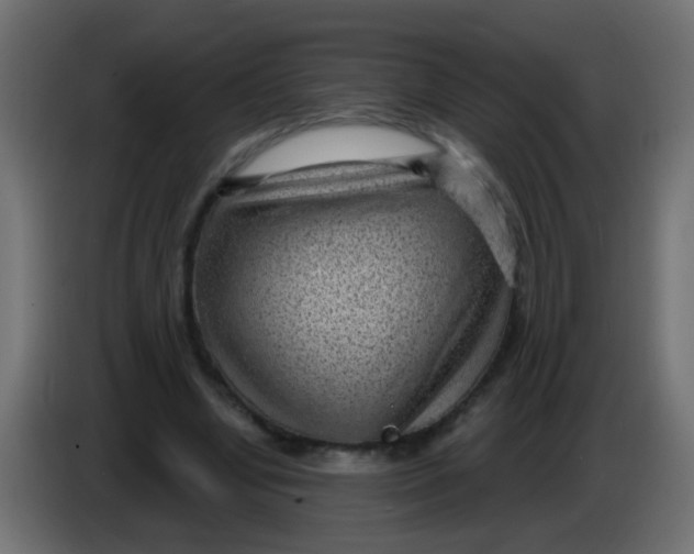 X0000086050442200704132000