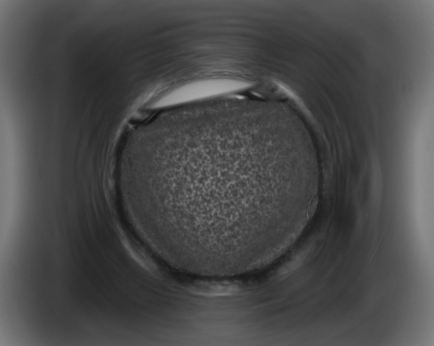 X0000086050443200704132000
