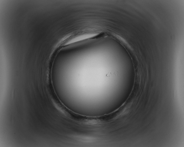 X0000086050446200704132000