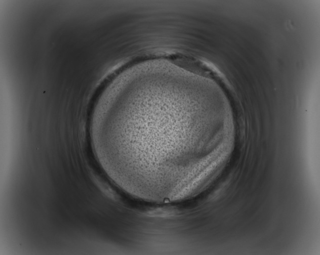 X0000086050447200704132000
