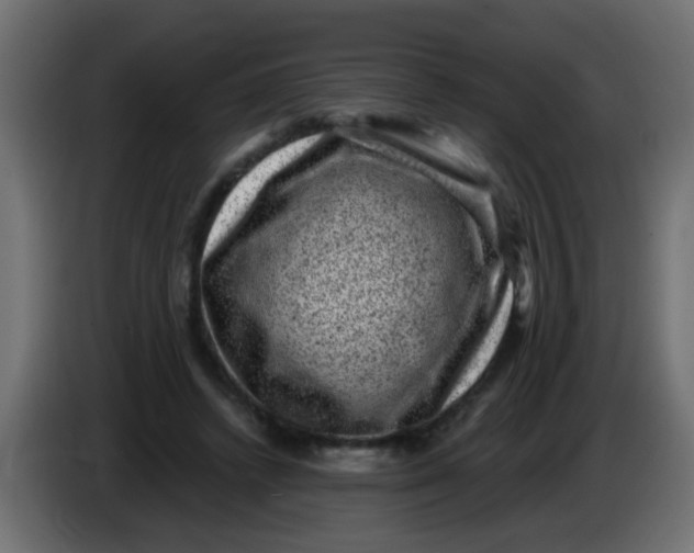 X0000086050448200704132000