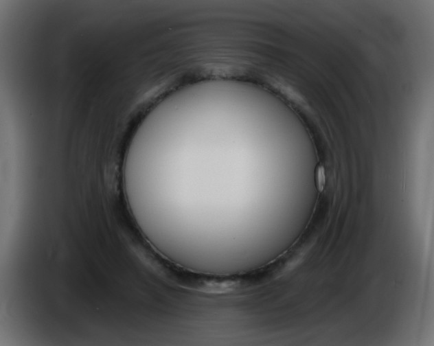 X0000086050450200704132000