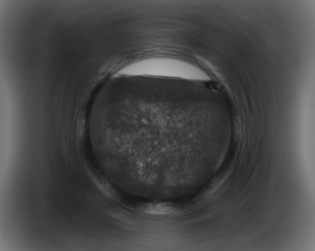 X0000086050451200704132000