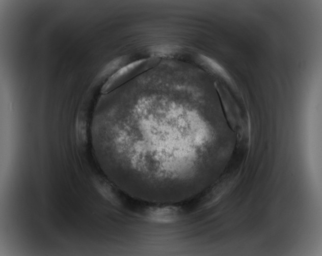 X0000086050452200704132000