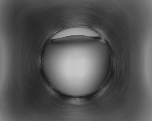 X0000086050453200704132000