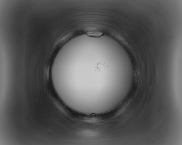 X0000086050454200704132000