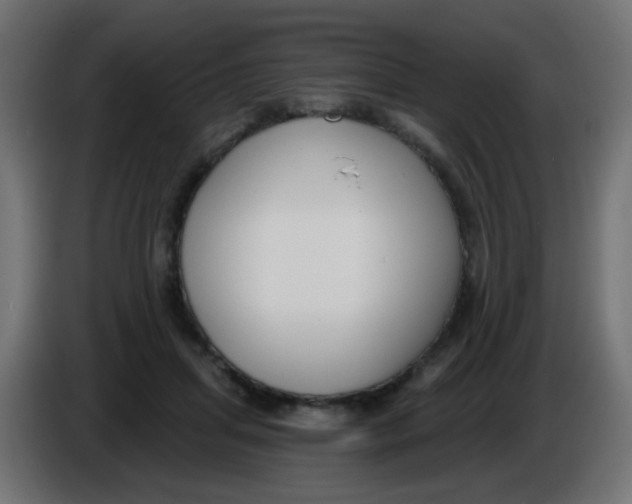 X0000086050455200704132000