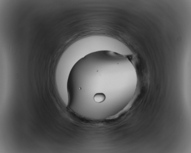 X0000086050456200704132000