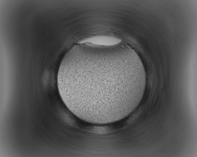 X0000086050457200704132000