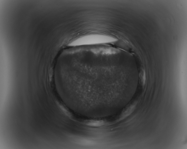 X0000086050458200704132000