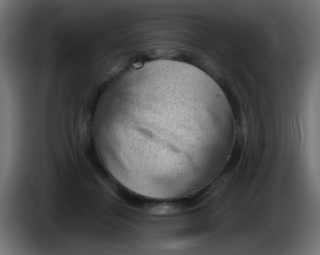 X0000086050460200704132000