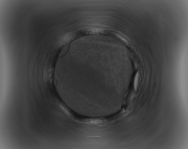 X0000086050462200704132000