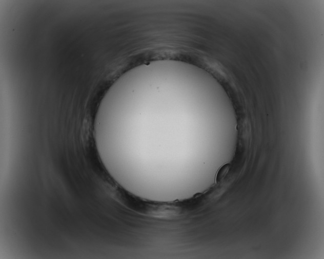 X0000086050463200704132000
