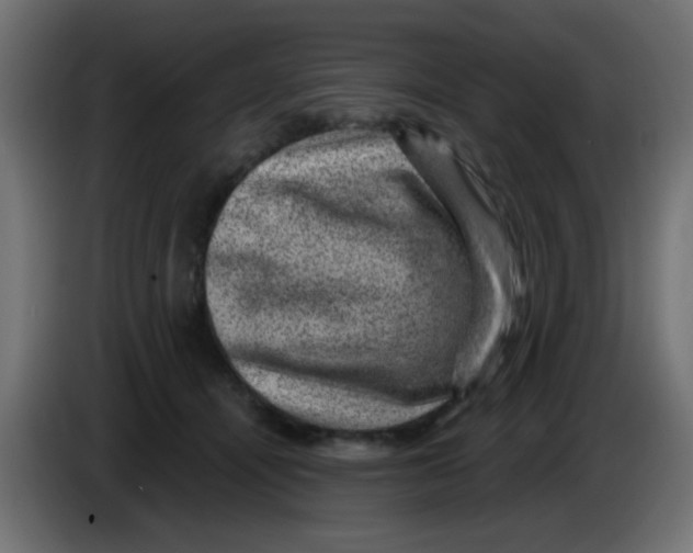 X0000086050464200704132000