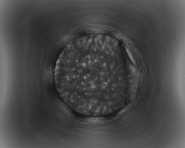 X0000086050465200704132000